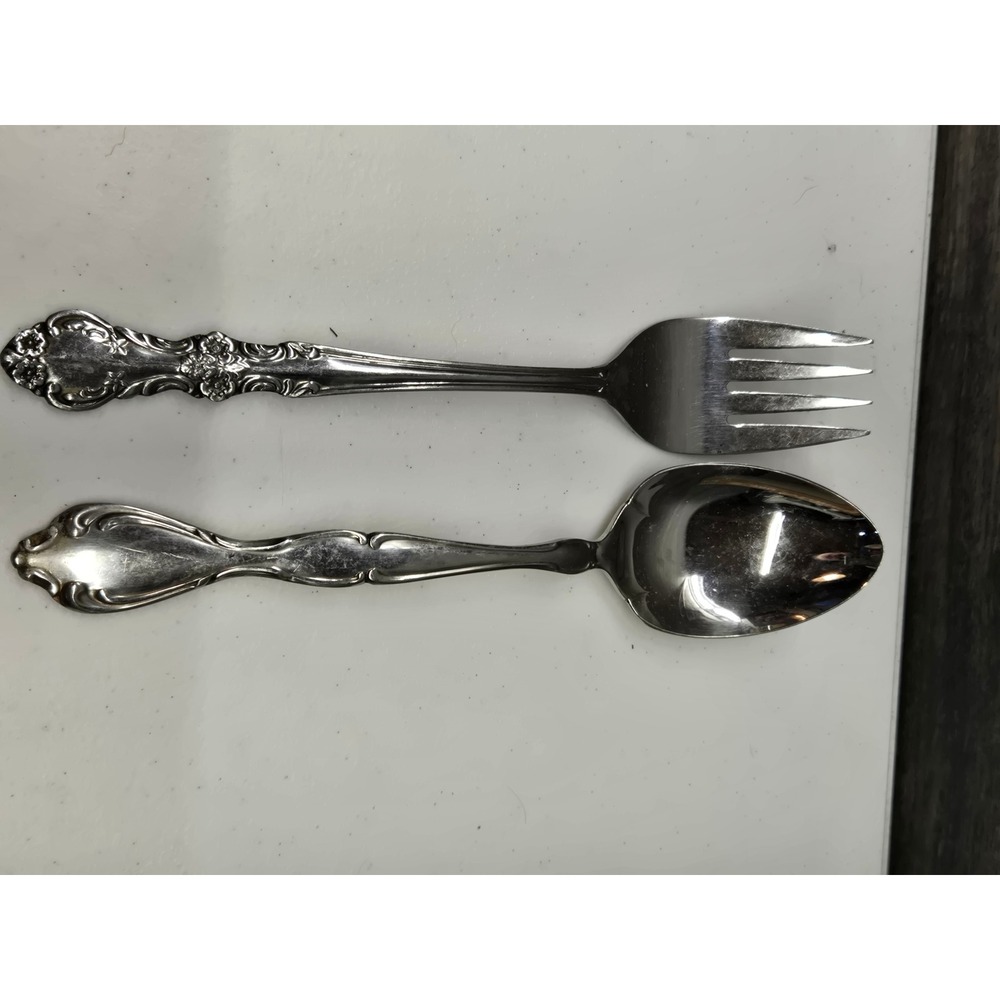Oneida Community Stainless Morning‎ Rose Salad Fork and Enchantment Teaspoon Set